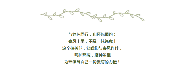 必赢网络游戏平台