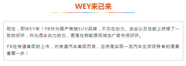 必赢网络游戏平台