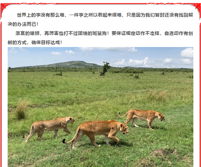 必赢网络游戏平台