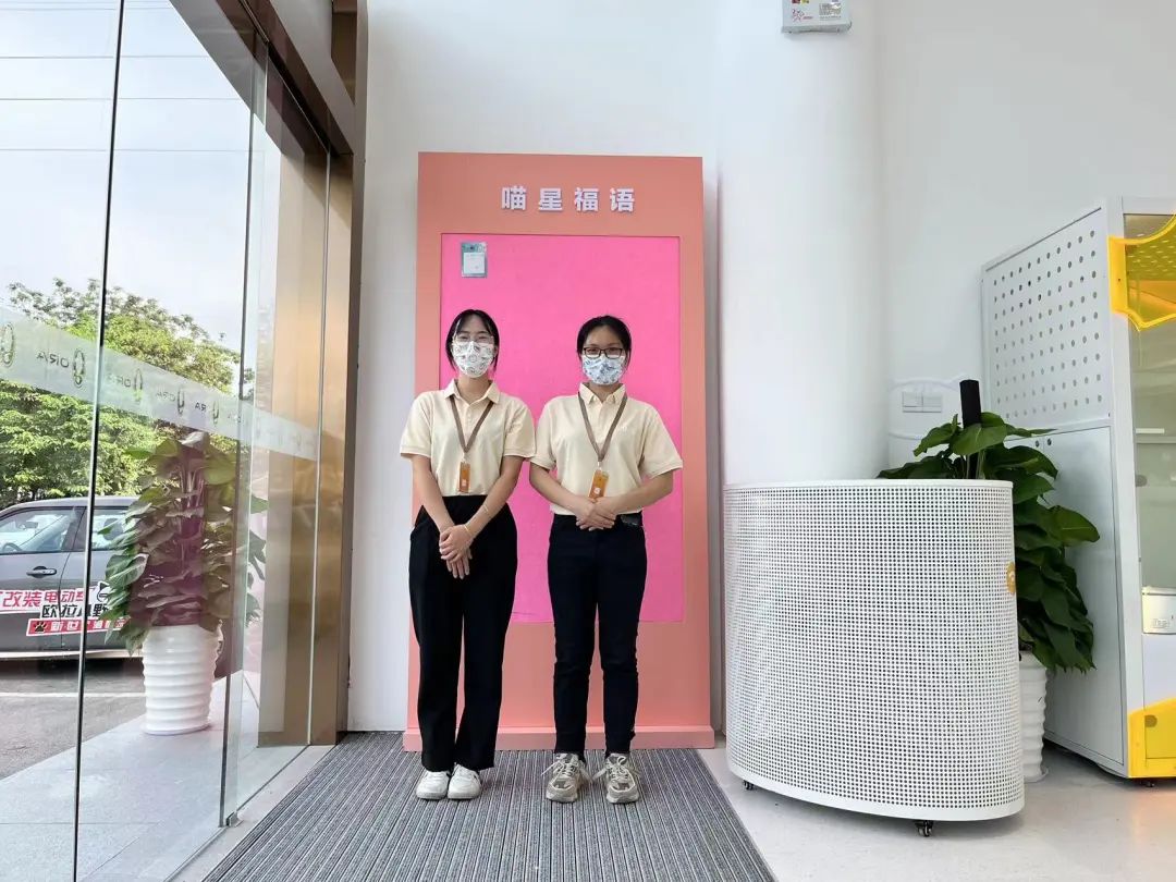必赢网络游戏平台