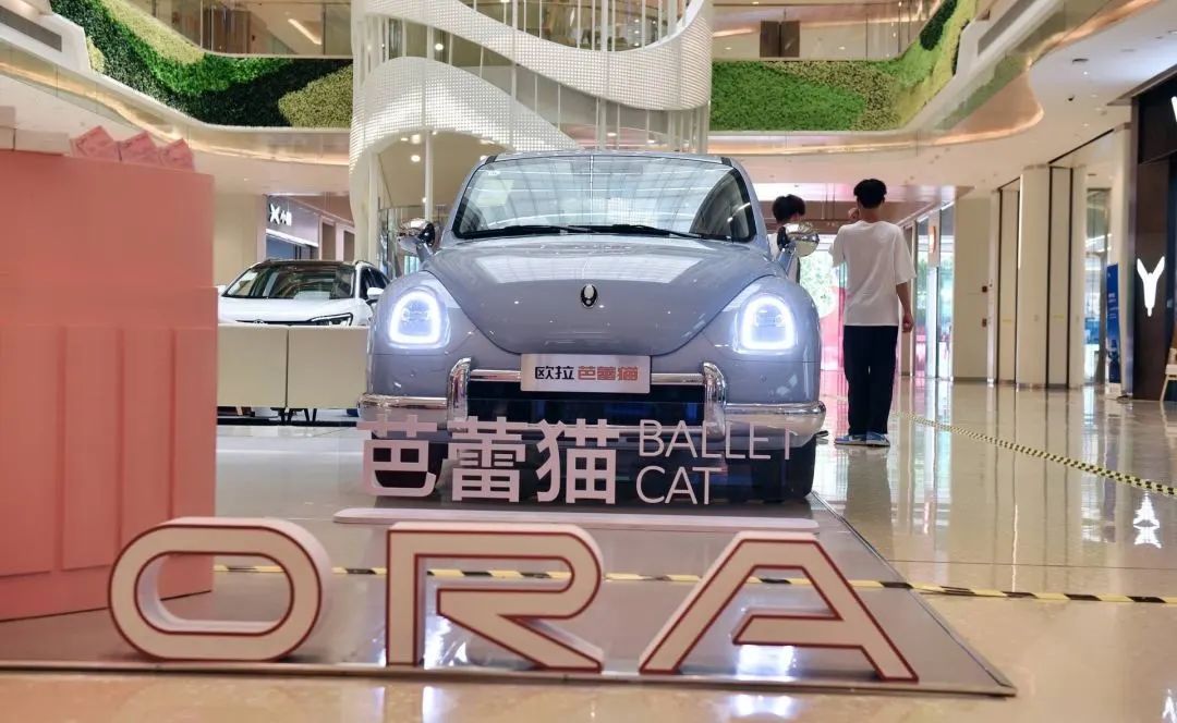 必赢网络游戏平台