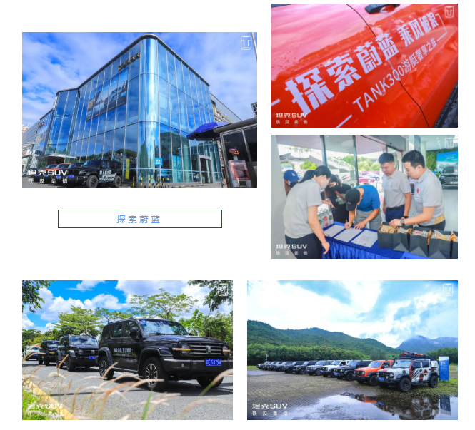 必赢网络游戏平台